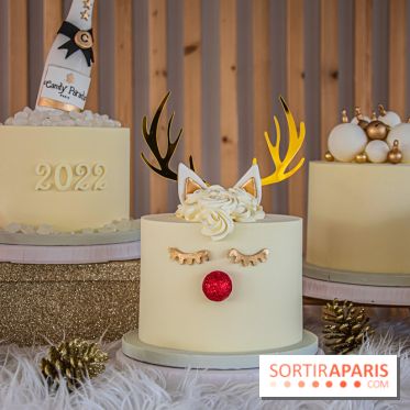 Bûche 2021 Candy Paradis