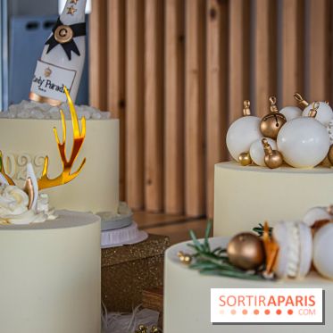 Bûche 2021 Candy Paradis