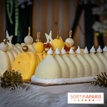 Bûche 2021 Candy Paradis