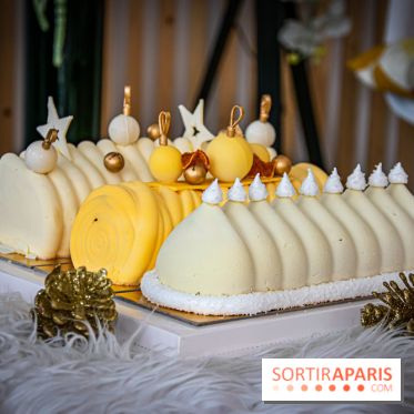 Bûche 2021 Candy Paradis