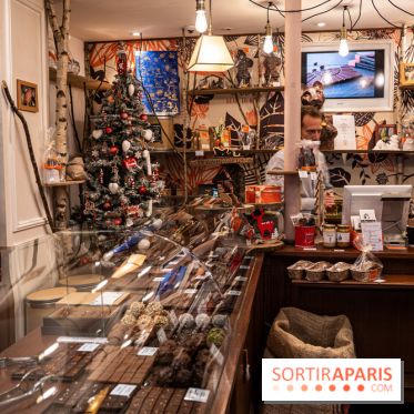 La Bûche de Noël de la Reine Astrid au mucilage 