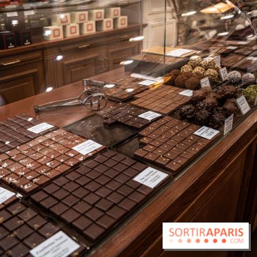 La Bûche de Noël de la Reine Astrid au mucilage 