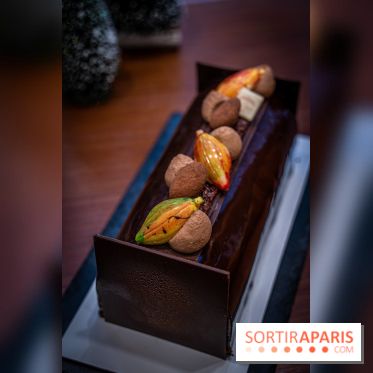 La Bûche de Noël de la Reine Astrid au mucilage 