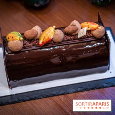 La Bûche de Noël de la Reine Astrid au mucilage 