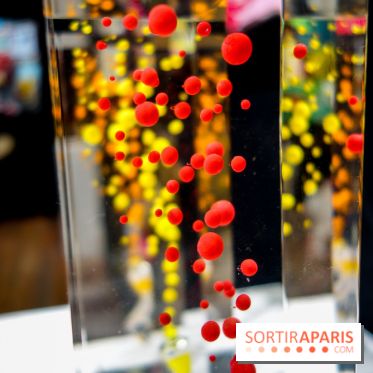 District 13 Art Fair 2022, nos photos