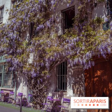 Les cafés fleuris de Paris