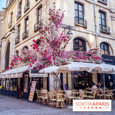 Les cafés fleuris de Paris