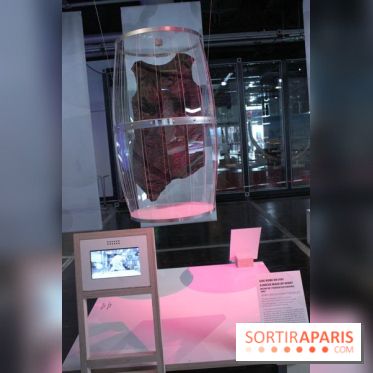 Futurotextiles 3 à la Cité des Sciences : marc de vin