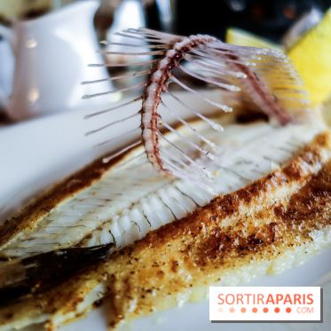 Les Petits Bateaux à Paris, nos photos 