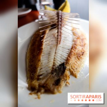 Les Petits Bateaux à Paris, nos photos 