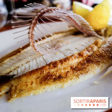 Les Petits Bateaux à Paris, nos photos 