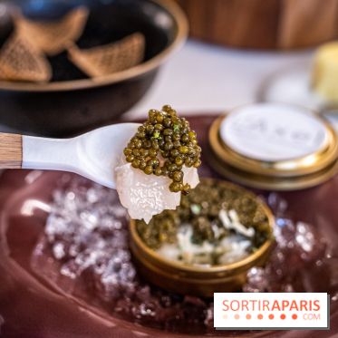 L'Axel, le restaurant étoilé de Fontainebleau, les photos