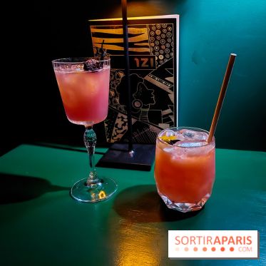 Zanzi : bar à cocktails à Paris, nos photos