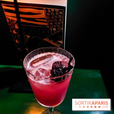 Zanzi : bar à cocktails à Paris, nos photos