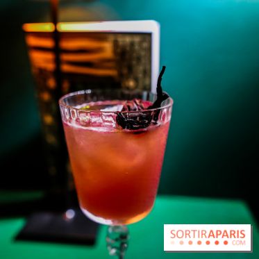 Zanzi : bar à cocktails à Paris, nos photos