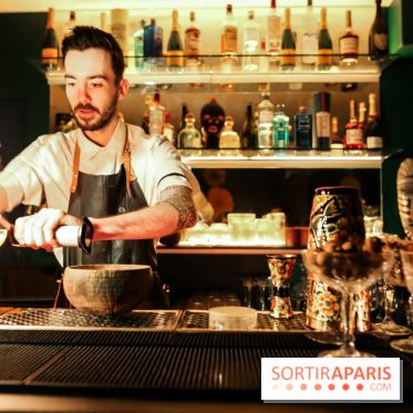 Zanzi : bar à cocktails à Paris, nos photos