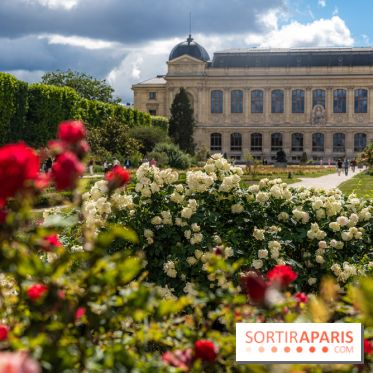 Visuels musée et monument  - museum - jardin des plantes
