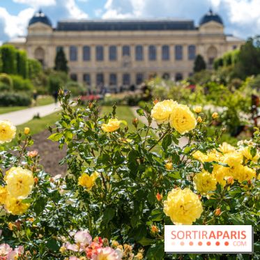 Visuels musée et monument - museum - jardin des plantes