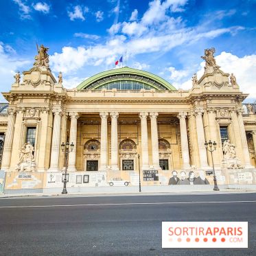Visuels musée et monument - Grand Palais travaux