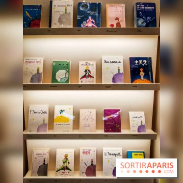 A la rencontre du Petit Prince, l'exposition immanquable du Musée des Arts Décoratifs - nos photos