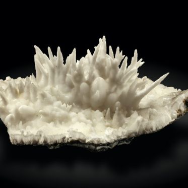 Salon de Minéralogie