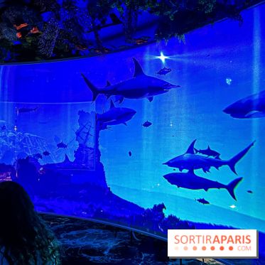 Ephemera, le premier restaurant immersif à Paris