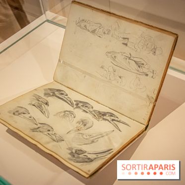 Delacroix et la nature, nos photos de l'exposition au musée Delacroix