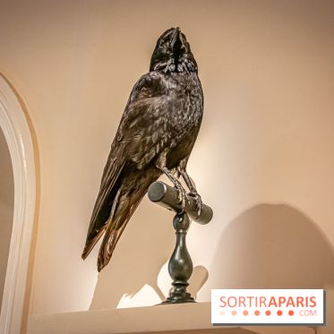 Delacroix et la nature, nos photos de l'exposition au musée Delacroix