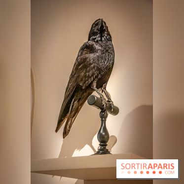 Delacroix et la nature, nos photos de l'exposition au musée Delacroix