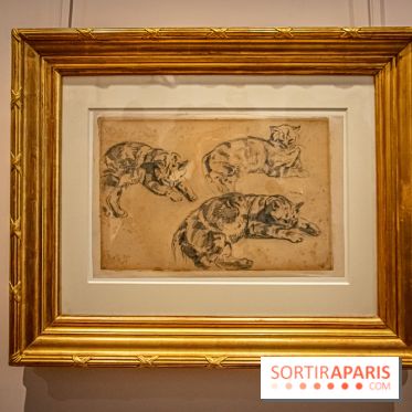 Delacroix et la nature, nos photos de l'exposition au musée Delacroix