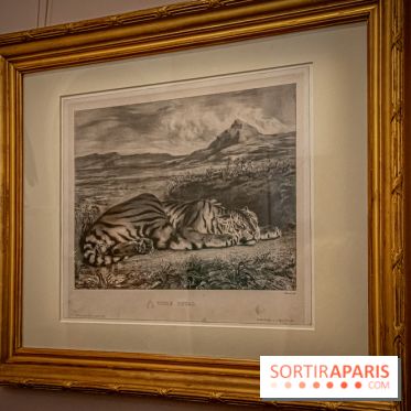 Delacroix et la nature, nos photos de l'exposition au musée Delacroix