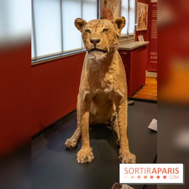 Delacroix et la nature, nos photos de l'exposition au musée Delacroix