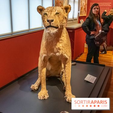 Delacroix et la nature, nos photos de l'exposition au musée Delacroix