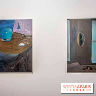 Exposition Xinyi Cheng à Lafayette Anticipations -  nos photos