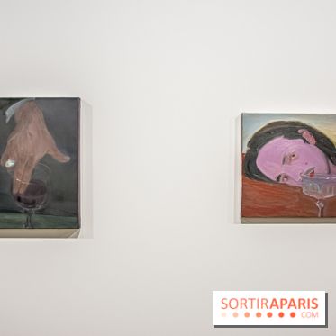 Exposition Xinyi Cheng à Lafayette Anticipations -  nos photos