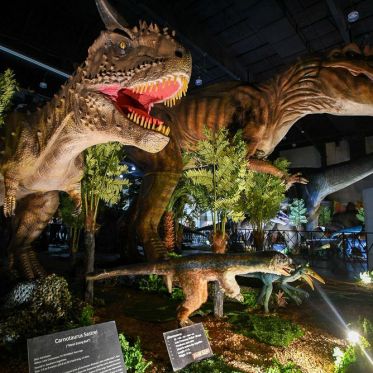 Dinosaurs World 2022