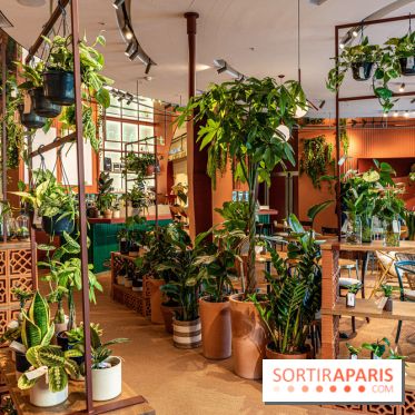 Le Café Vert du Printemps Haussmann 