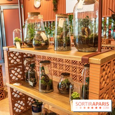 Le Café Vert du Printemps Haussmann 