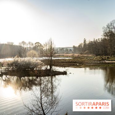 Le domaine du Chateau de Dampierre 