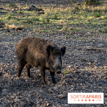 Le domaine du Chateau de Dampierre 