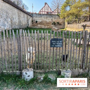 Le domaine du Chateau de Dampierre 