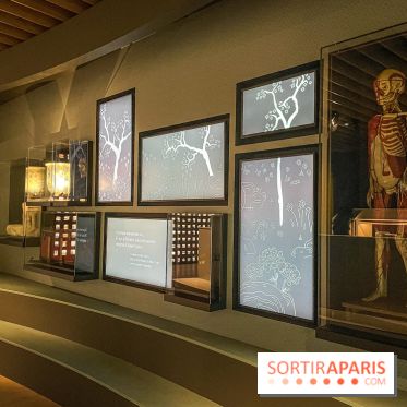 Le nouveau Musée Albert Kahn se dévoile 