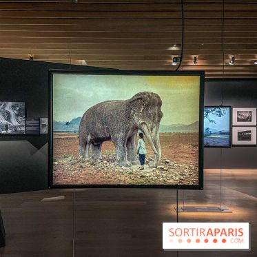 Le nouveau Musée Albert Kahn se dévoile 