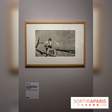 Photographies en Guerre, nos photos de l'exposition choc au Musée de l'Armée