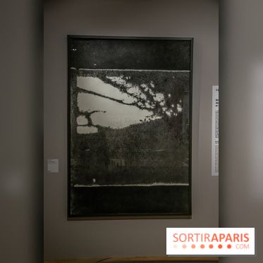 Photographies en Guerre, nos photos de l'exposition choc au Musée de l'Armée