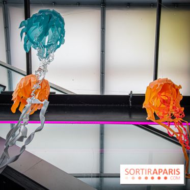 Exposition à Fluctuart, Plongée en eaux troubles - nos photos