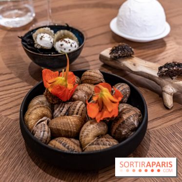 Restaurant Bellefeuille au Saint-James Paris