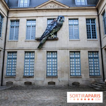 Incursions sauvages, nos photos