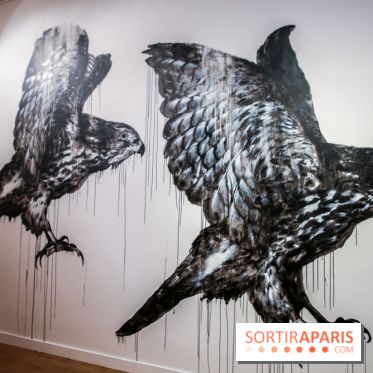 Incursions sauvages, nos photos