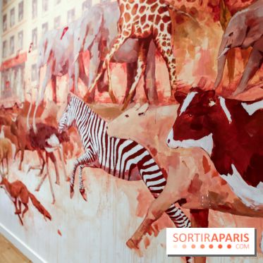 Incursions sauvages, nos photos